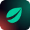 Logo de Bitfinex